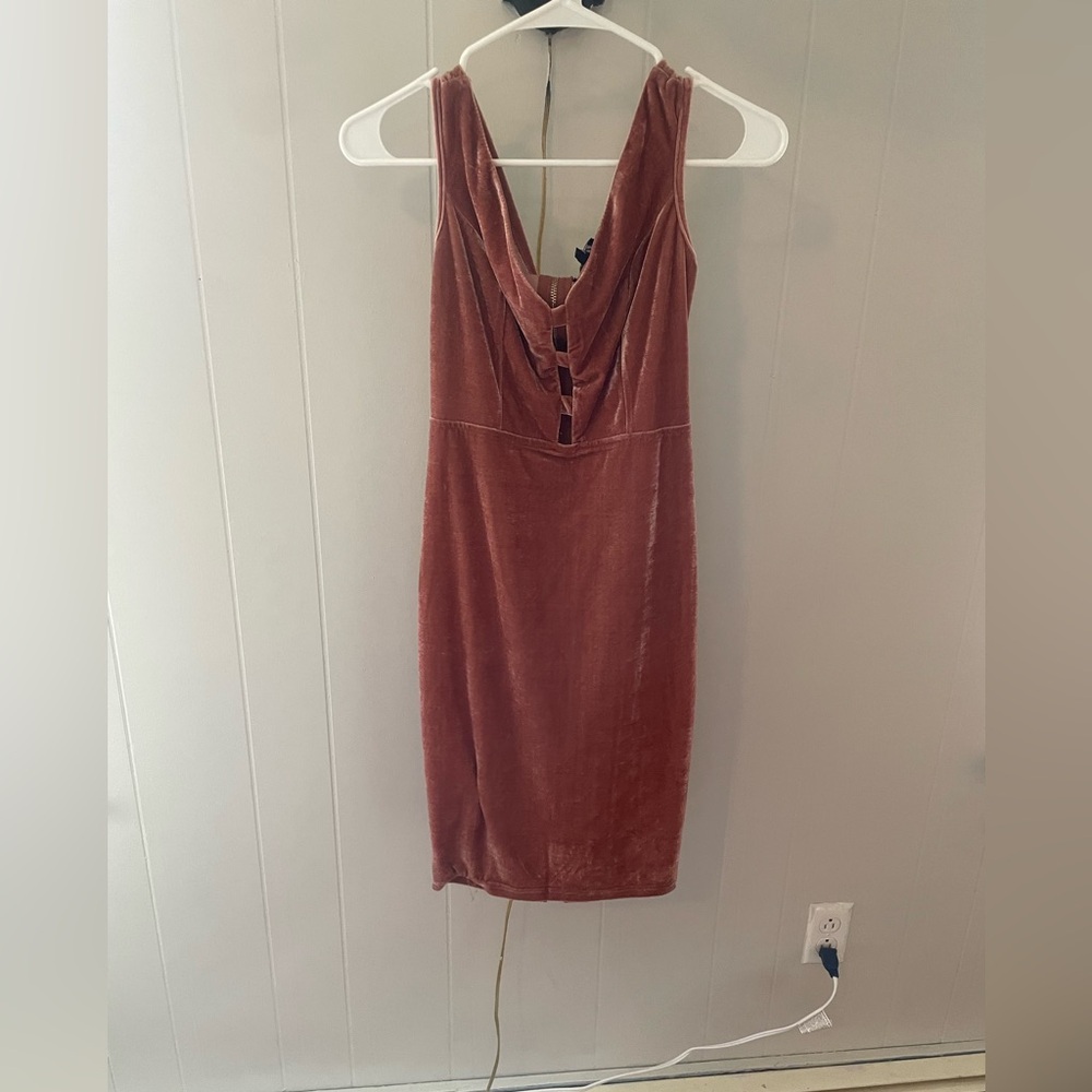 NWT dusty rose velvet mini dress